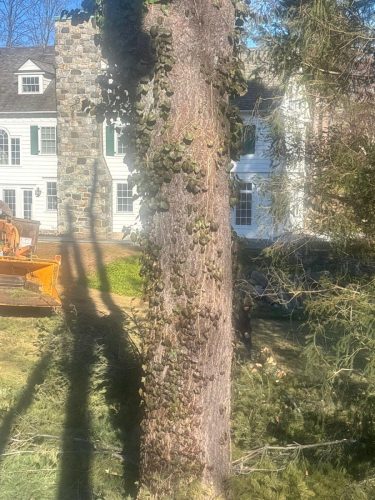 WhatsApp-Image-2026-02-10-at-10.25.07-PM-1