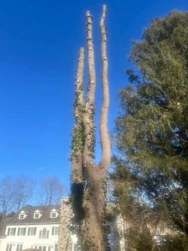 WhatsApp-Image-2026-02-10-at-10.25.07-PM-2