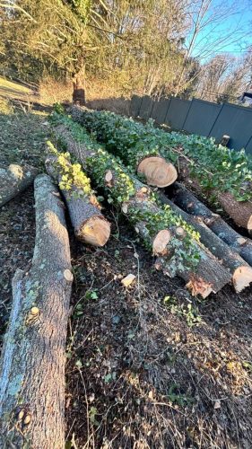 WhatsApp-Image-2026-02-10-at-10.25.07-PM