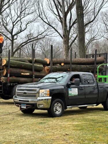 WhatsApp-Image-2026-02-10-at-10.42.53-PM-2