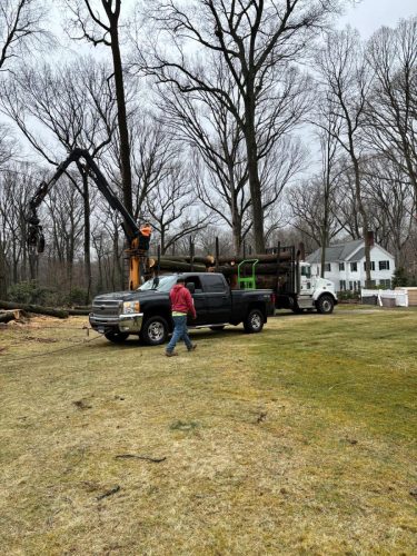 WhatsApp-Image-2026-02-10-at-10.42.53-PM