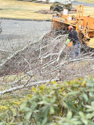 WhatsApp-Image-2026-02-10-at-10.57.12-PM-3