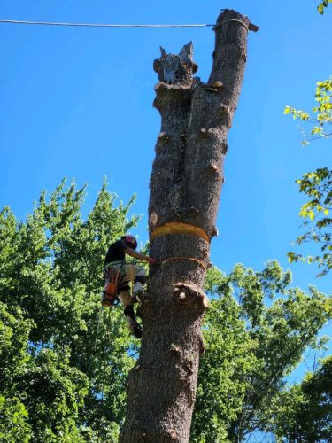 WhatsApp-Image-2026-02-10-at-10.57.12-PM