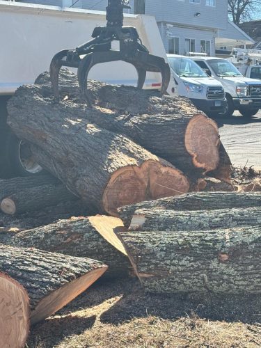 WhatsApp-Image-2026-02-10-at-11.00.00-PM