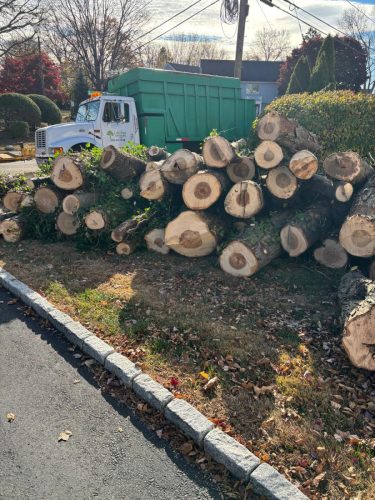 WhatsApp-Image-2026-02-10-at-11.01.45-PM