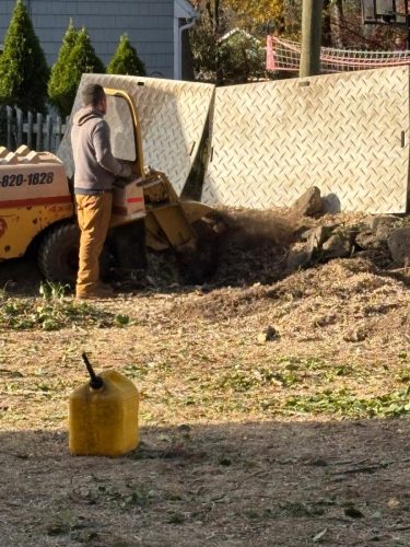 WhatsApp-Image-2026-02-10-at-11.01.46-PM