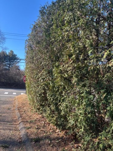 WhatsApp-Image-2026-02-10-at-11.04.00-PM-1