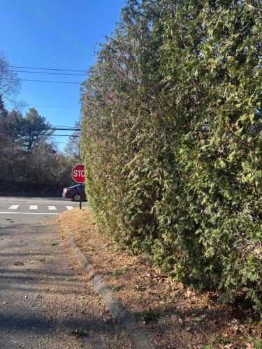 WhatsApp-Image-2026-02-10-at-11.04.00-PM